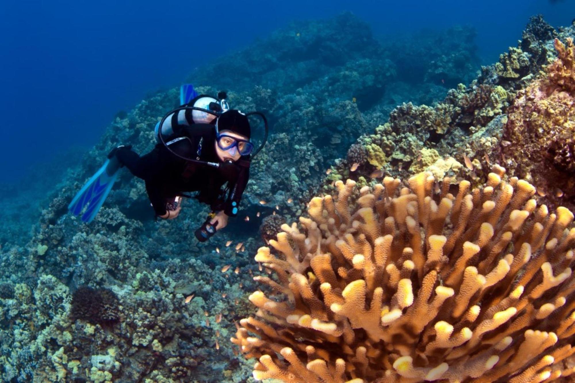 Honua Kai 322 Villa Lahaina Eksteriør bilde